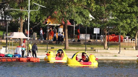 personas disfrutando de paseos en bote en un lago