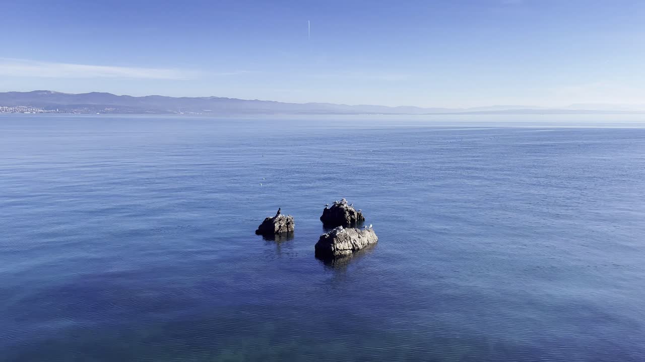 Seagulls and a crane resting on boulders on Sea shore with island in distance, Opatija, Croatia