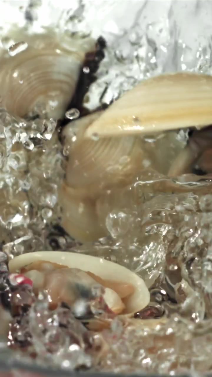Close-up of Fresh Clams Opening in Boiling Water