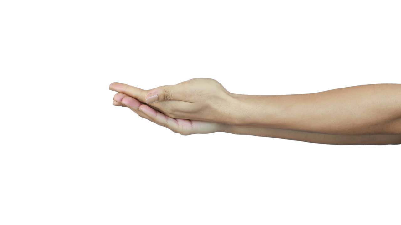 무언가를 들고 있는 사람의 손