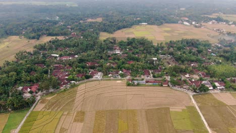 Hermoso-Pueblo-De-Geblek-Pari-Rodeado-De-Vastos-Campos-De-Arroz,-Vista-Aérea