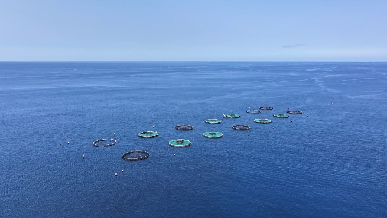 Drone view over round marine pens of aquafarm in blue Atlantic waters of Madeira