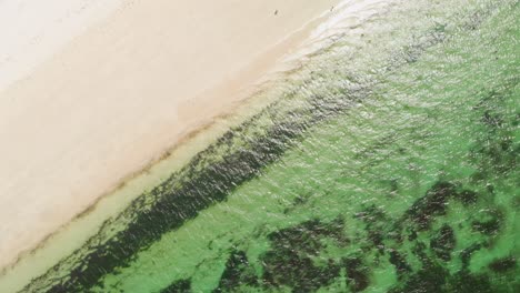 Vista-De-Arriba-Hacia-Abajo-De-La-Playa-De-Mombasa,-Kenia