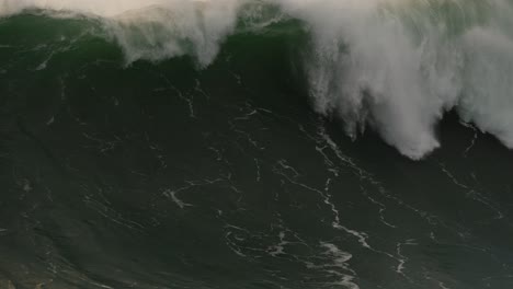 big wave breaking in the back with birds on the foreground