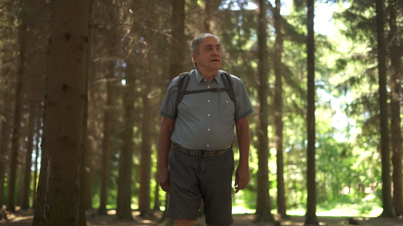 hombre caminando en un bosque