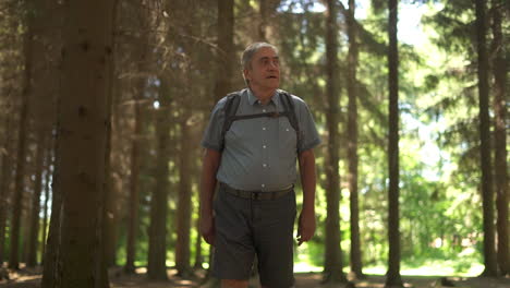 man hiking in a forest