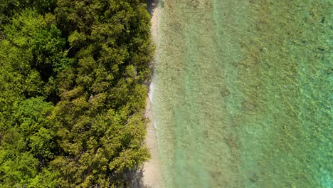 Felsiger-Meeresstrand-Mit-Klarem-Wasser,-Aufgebaut-Vor-Mangrovenwäldern