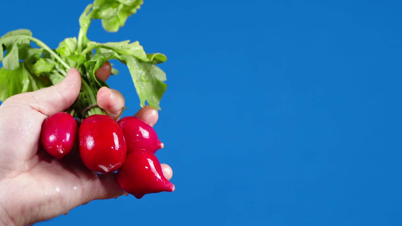 신선한 라면 한 어리를 들고 있는 사람의 손.