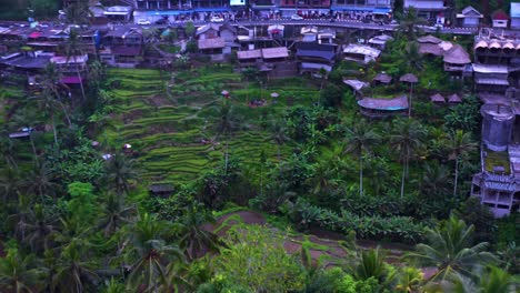 rural villages and rice terraces fields in tegalalang near ubud, bali indonesia