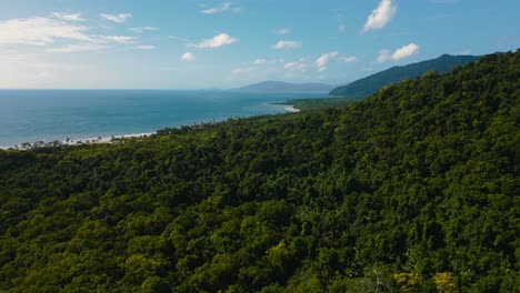 tropical daintree rainforest beach at cape tribulation