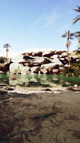 serene oasis in the desert