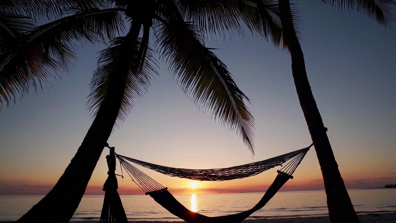 Amaca e palme in silhouette contro un bellissimo tramonto tropicale
