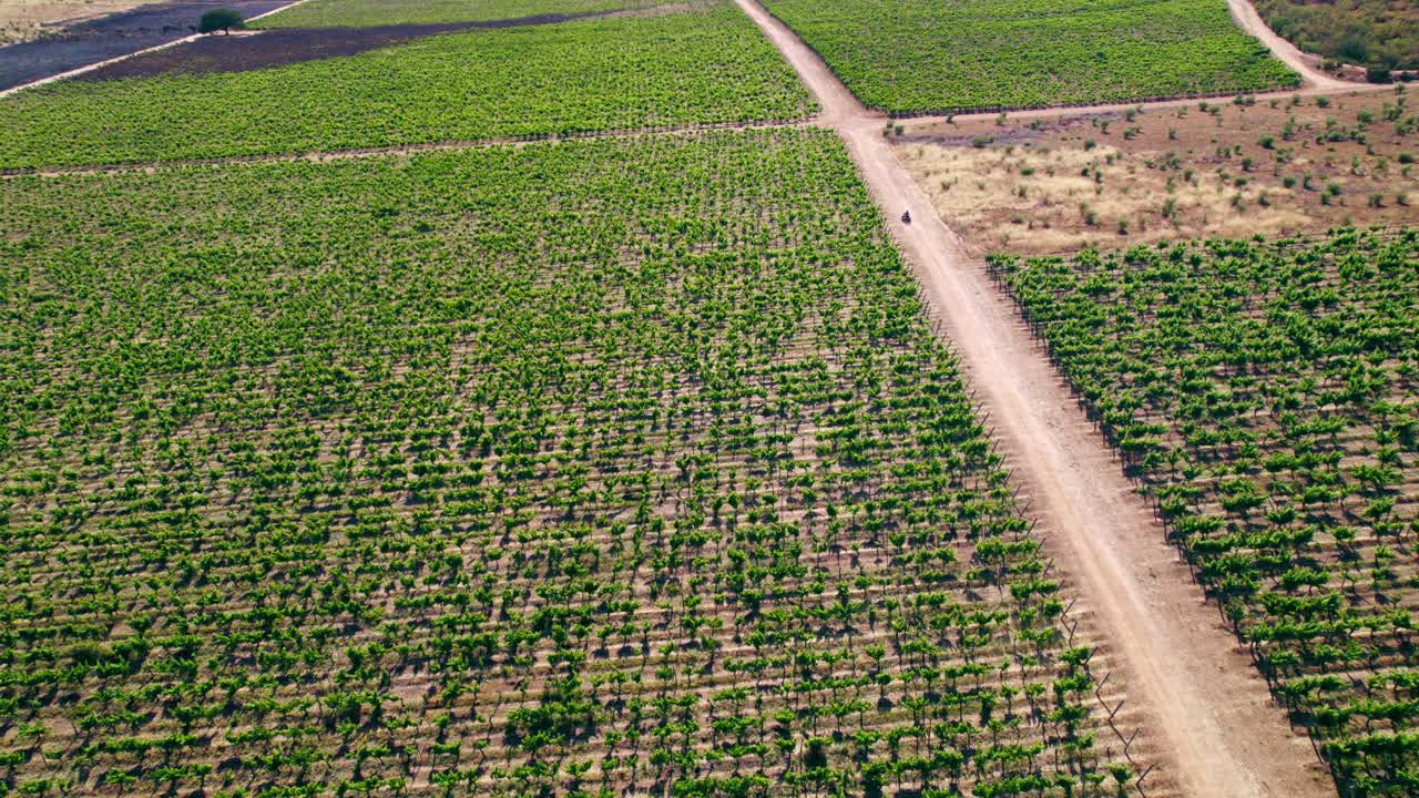 órbita aérea de una persona en un cuatriciclo asistiendo a un incendio en un viñedo, valle de casablanca, chile