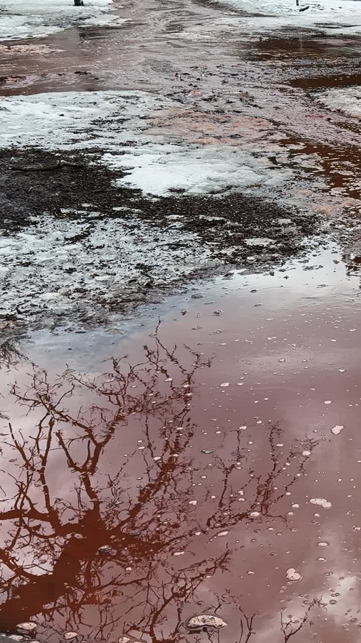 A medida que el invierno empieza a ceder, el agua de deshielo de primavera se extiende por un sendero de parque urbano que se descongela, formando charcos sobre el barro, la nieve derretida y reflejos de árboles desnudos en una clara escena de inundación de principios de primavera
