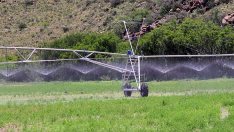 tecnología de riego agrícola puntos de pivote hd 30fps