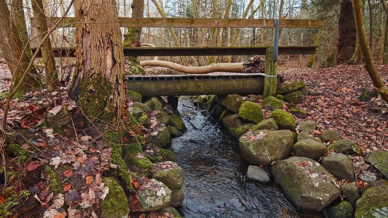 el río en el bosque de otoño y el sol brillando a través del follaje