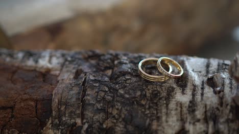 wedding rings on top of a wooden log with smoke blowing in 4k