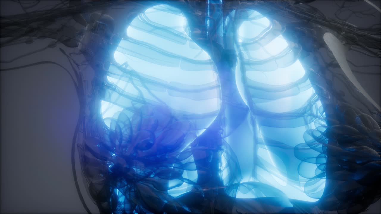 examen radiológico de los pulmones humanos