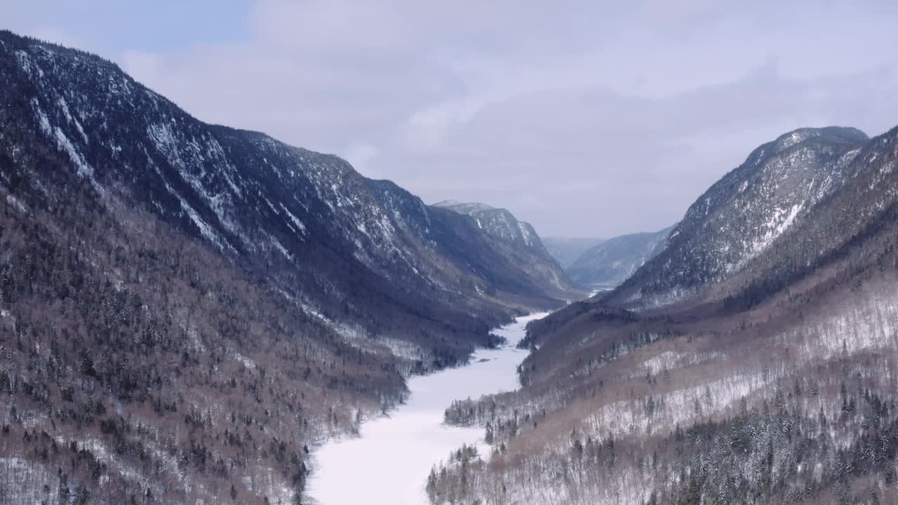 Eeppinen sinisen hetken lento lumisen vuonon yllä talvisessa boreaalisessa metsässä, Jacques Cartierin kansallispuistossa, Quebecissä, Kanadassa