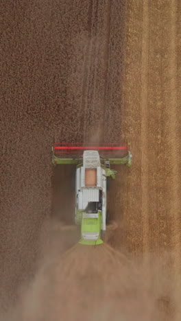 combine harvester riding slowly by the golden field and mowing it. bird eye view on the machine working in the half-mowed farmland. vertical video