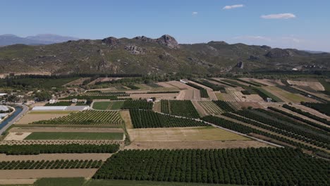 Huertos-En-La-Llanura