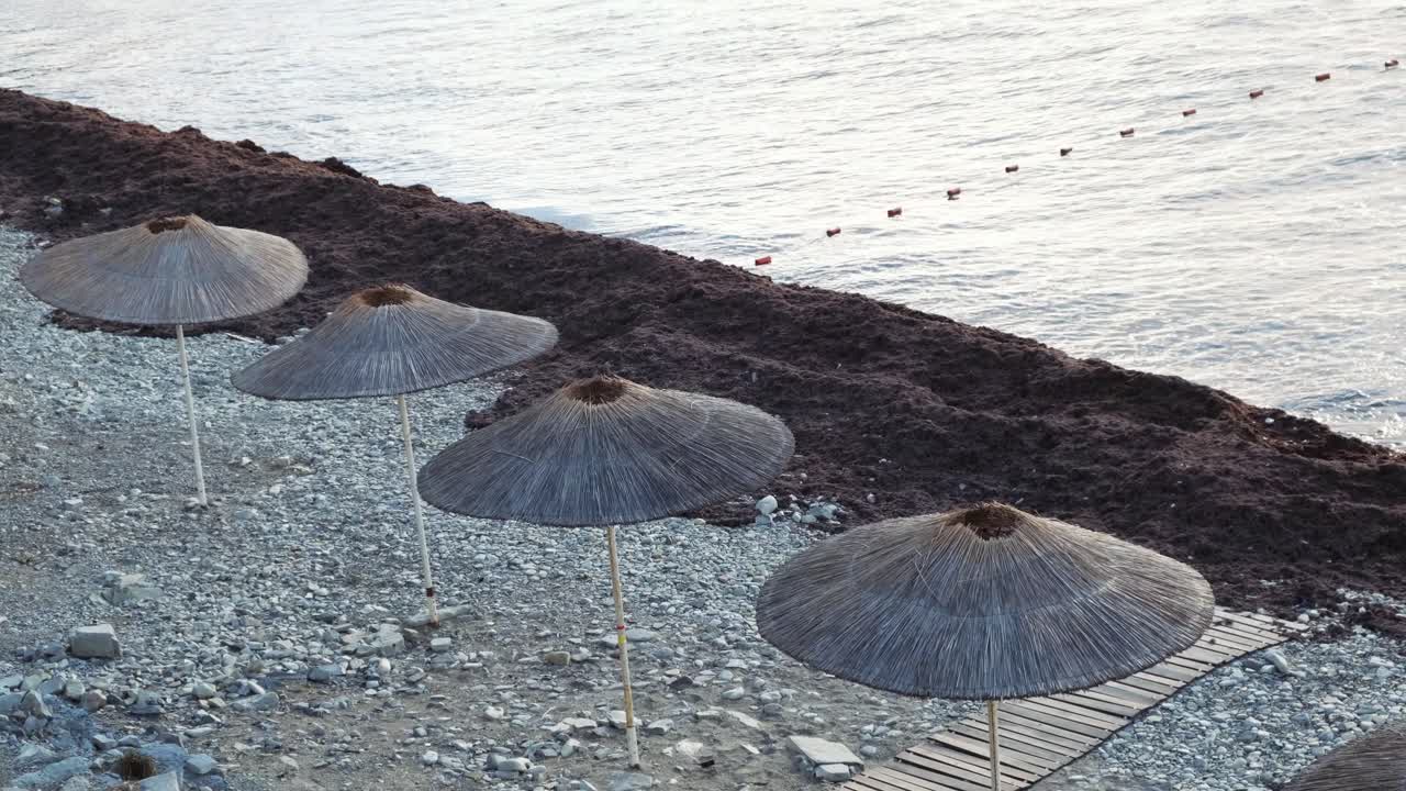 Beach scene with straw umbrellas and seaweed