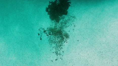 polvo oscuro que se disuelve en líquido de agua verde