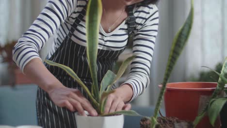 close up of smiling asian woman planting at home