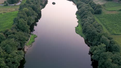 river with dense vegetation in countryside landscape