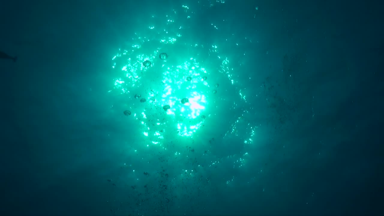 burbujas de aire que suben a la superficie del océano con el sol brillando a través del agua