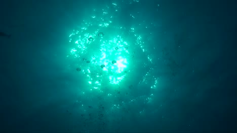 burbujas de aire que suben a la superficie del océano con el sol brillando a través del agua