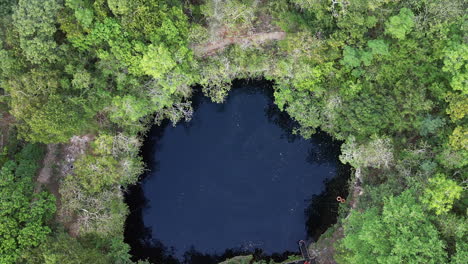 Aerial-rises-over-dense-jungle-at-Cenote-Kikil-in-Yucatan,-Mexico