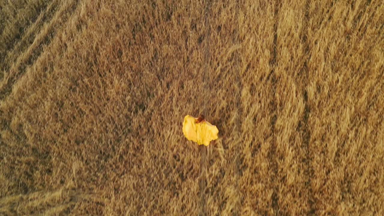 Woman in a yellow dress dancing in a wheat field