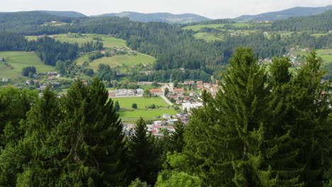 aerial dolly forward in between pine trees revealing town prevalje in northern slovenia, province of carinthia