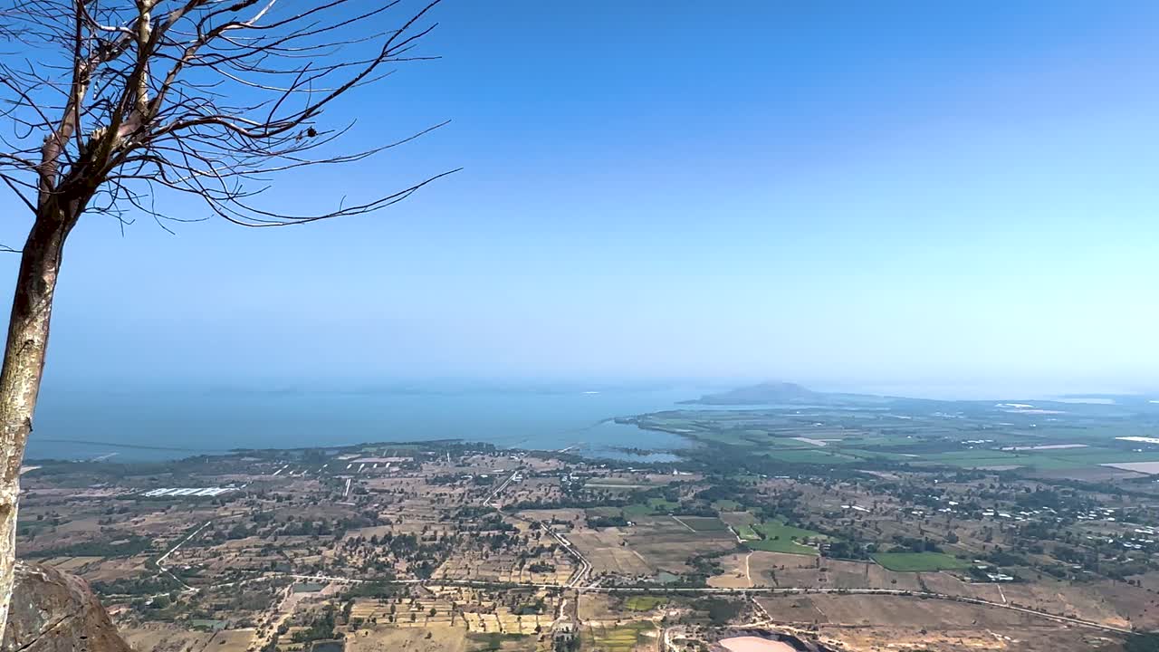 나무 와 멀리 있는 물 이 있는 파노라마 풍경