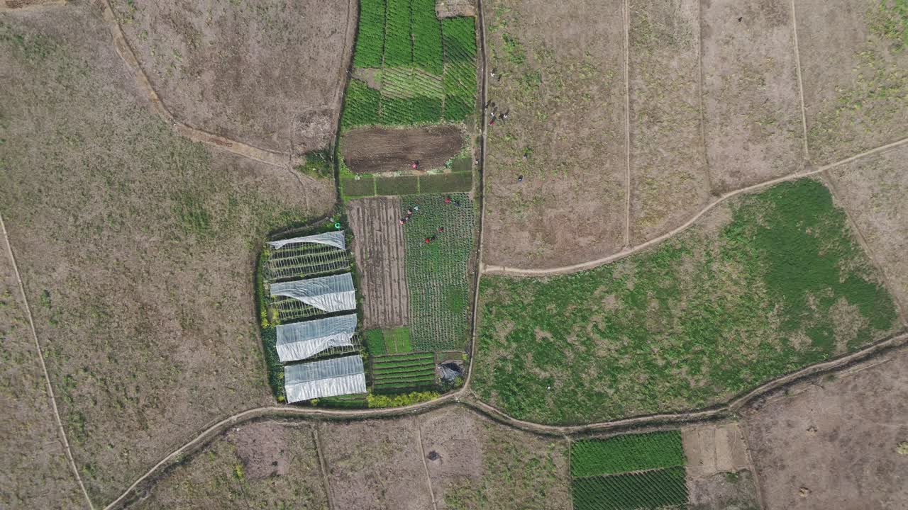 Aerial drone footage of farming activity in a remote Nepal village. Shows crop cultivation, rural lifestyle, and agricultural land from above