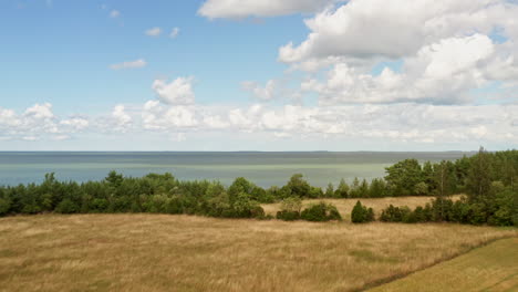 flying towards a greenish-blue sea over a wheat field