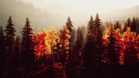 Misty Forest with Golden Trees in the Fall