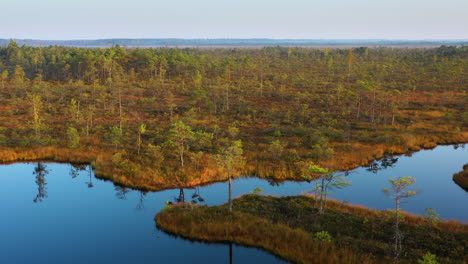 friedlicher sumpf auf reflektierendem wasser in der natur, drohnenaufnahme verfolgend