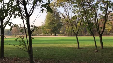 vista panorámica del campo verde del campo de golf en otoño