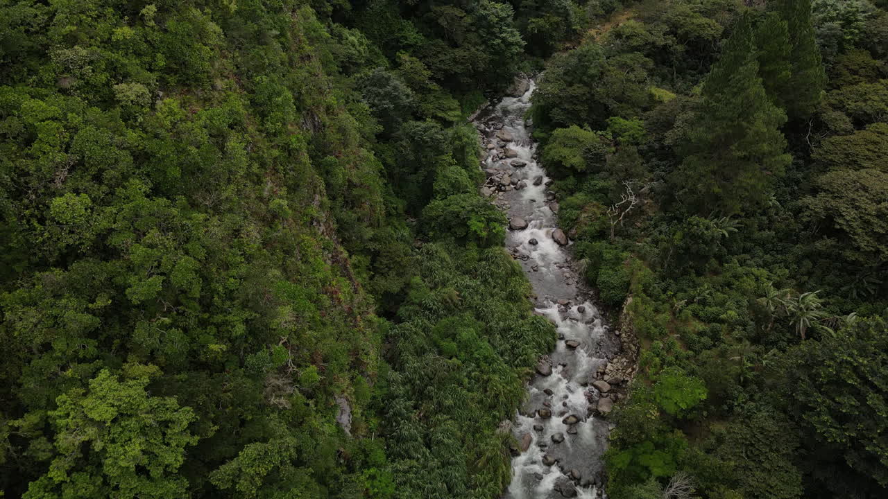 vista aérea de ángulo alto de la selva siguiendo un río en las montañas de boquete, panamá