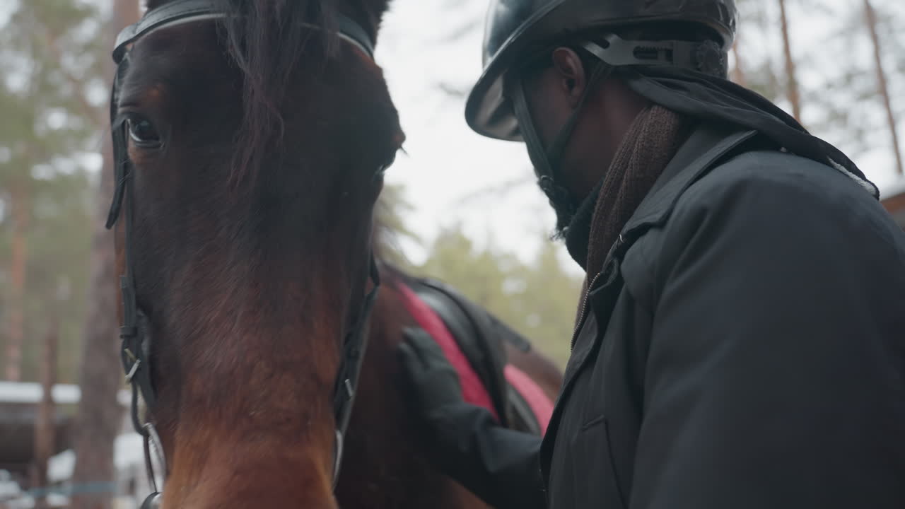 jinete sereno observa caballo alazán cerca de bosques invernales; caballo y jinete descansan plácidamente en un paisaje nevado; escena tranquila de un jinete que inspecciona cuidadosamente un caballo alazán cerca de un bosque invernal en la nieve