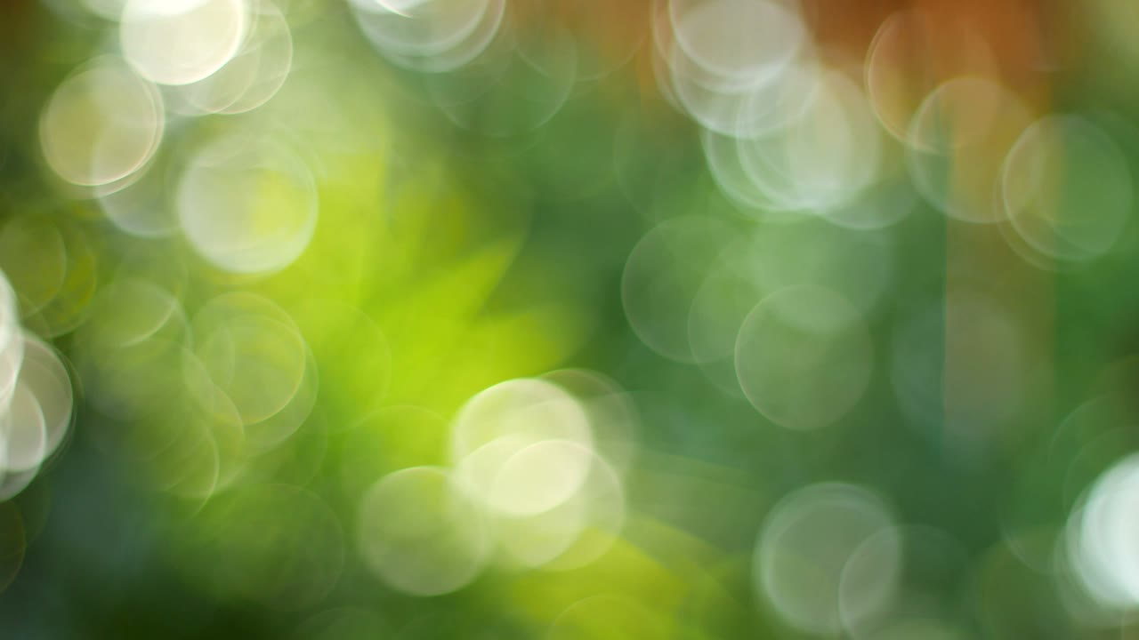 fondo bokeh de color verde