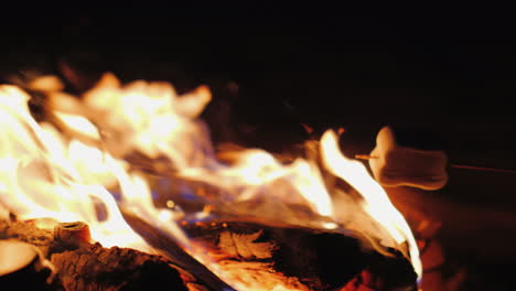 Marshmallow-über-Einem-Feuer-Braten-Nahaufnahme-Im-Rahmen-Sieht-Man-Nur-Sticks-Mit-Marshmallows