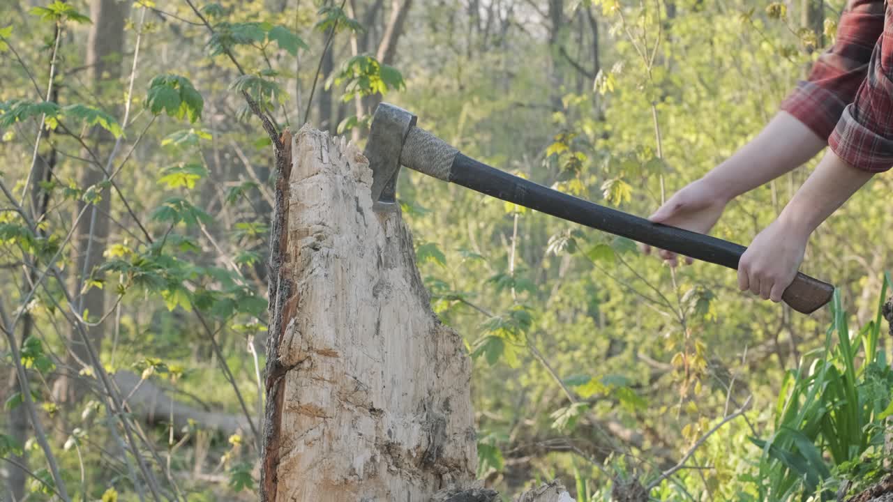 columpio de hacha hacia abajo cortando el tocón de un árbol