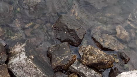 clear river water rolling over rocks -close up