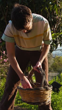 farmer empties the basket full of wood in the countryside