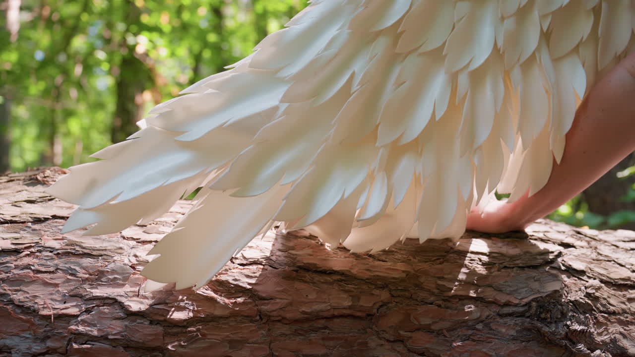 Close up of soft white angel wings and hand touching fallen tree bark in bright forest sunlight, symbolizing peace, nature unity, gentle strength, and divine stillness