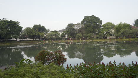 Plano-General-De-Un-Parque-Con-Un-Lago-Tranquilo-Y-Un-Montón-De-árboles-Al-Fondo-Por-La-Noche