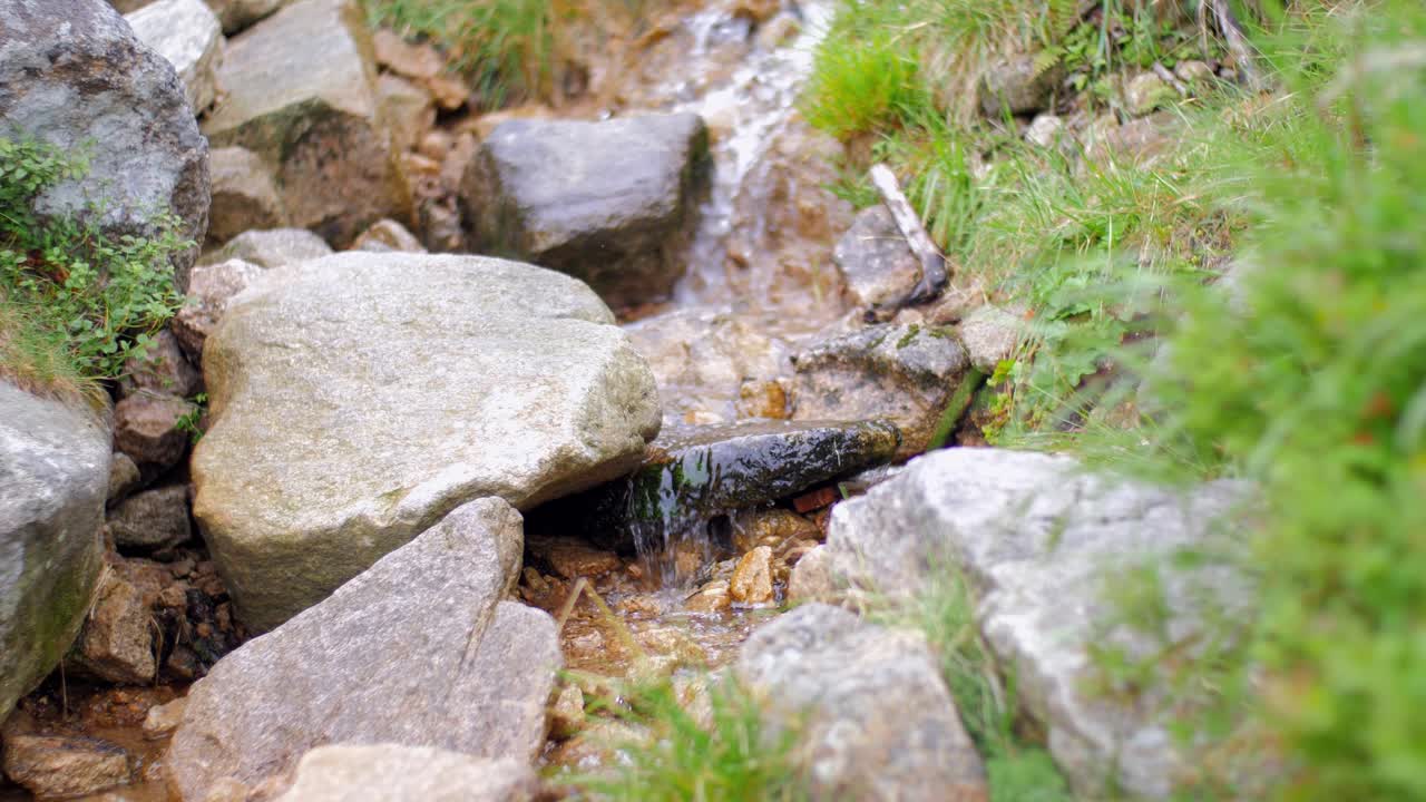 Flowing brook through green mountain forest in summer, 50 fps slow motion